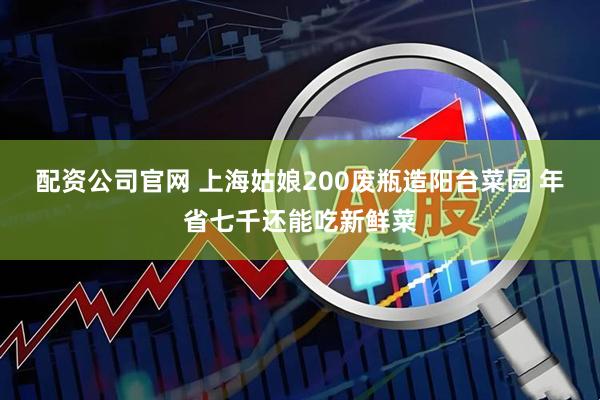 配资公司官网 上海姑娘200废瓶造阳台菜园 年省七千还能吃新鲜菜